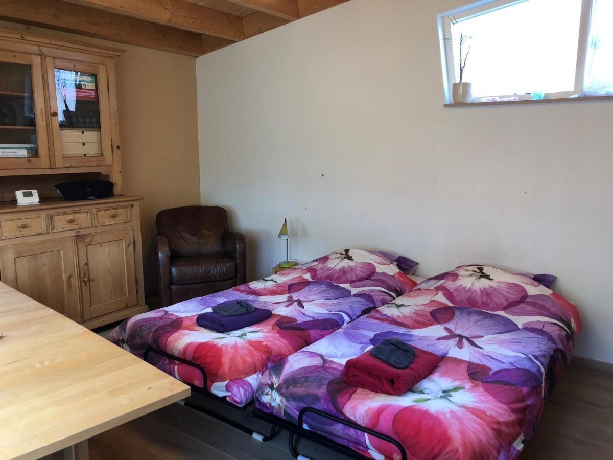 אלמיר B&B 'T Buitenkansje מראה חיצוני תמונה